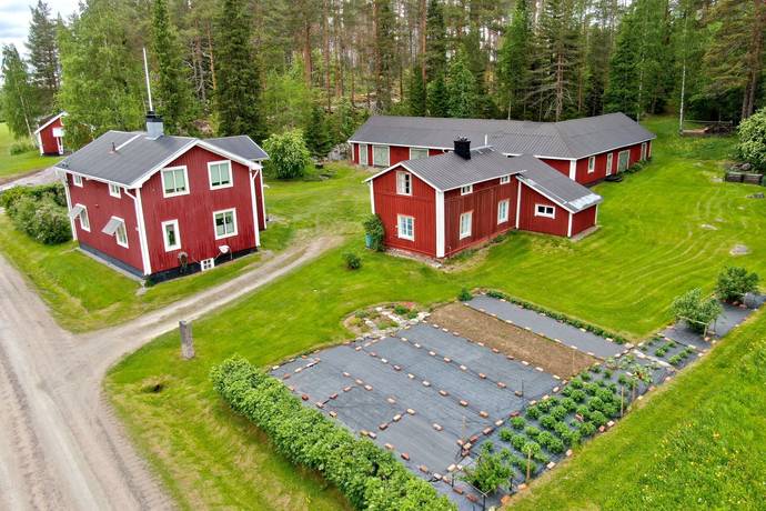 Storsien 398, Storsien, Kalix kommun