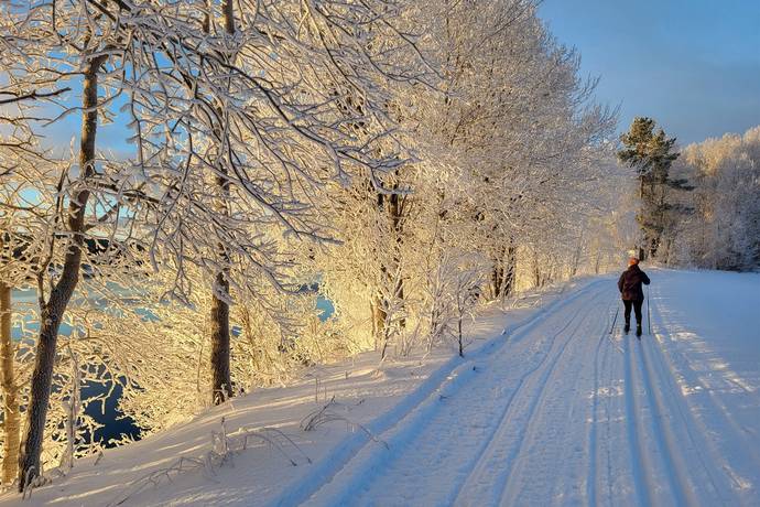 7 rum Villa på Thomévägen 65 Mörsil Åre kommun - bild 59