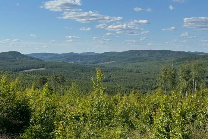 gård/skog på Gottne Gottne, Örnsköldsviks kommun - bild 1
