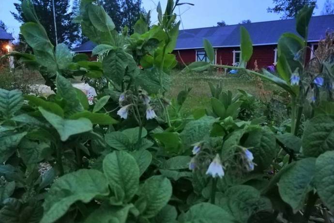3 rum Villa på Markskogsvägen 129 Persön Luleå kommun - bild 56