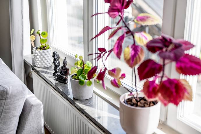 3 rum Lägenhet på Svampskogsvägen 18, 1 tr Bällstaberg Vallentuna kommun - bild 12