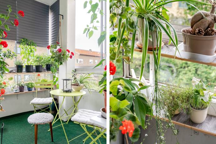 3 rum lägenhet på Sandbackegatan 7B Kirseberg, Malmö kommun - bild 5