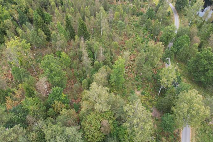 Gård/skog på HYLTE BRÄNNÖ 1:2 Hylte kommun - bild 7