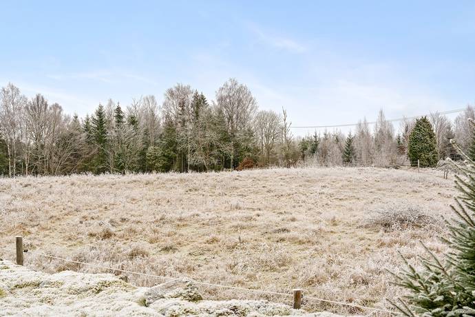 Gård/skog på 16 ha skogsfastighet med 3 ha betesmark Olofströms kommun - bild 6
