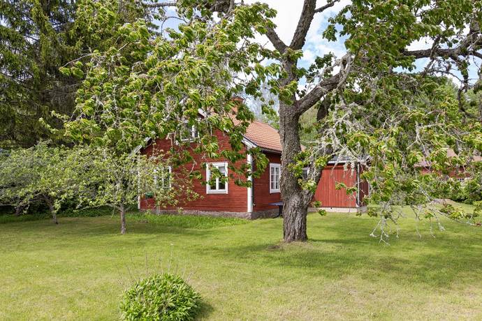 3 rum Gård med jordbruk på Fallsboda 214 Örbyhus Tierps kommun - bild 11