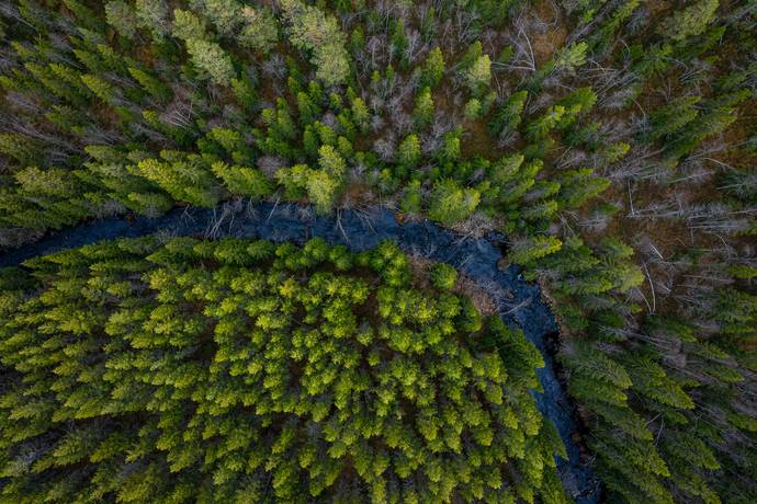 Gård/skog på Nederhögen Bergs kommun - bild 9
