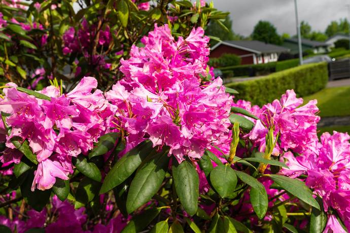 5 rum Lägenhet på Stenbockens gränd 5 Hovmantorp Lessebo kommun - bild 24