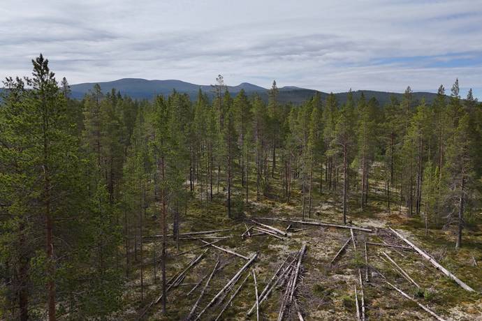 tomt på Västvallen 131 Namnlös, Härjedalens kommun - bild 3