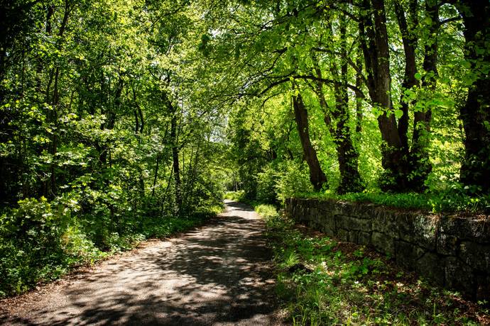 12 rum Gård utan jordbruk på Ina 231 SÖDERALA Söderhamns kommun - bild 59