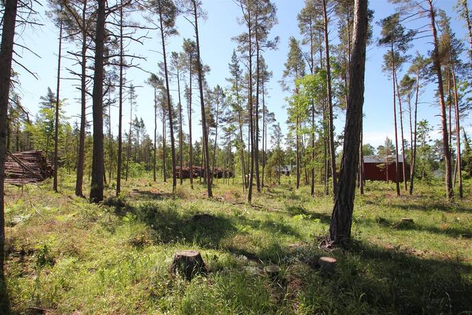 tomt på Sanda Bjästavs 110, Tomt A Sanda - Västra Gotland, Gotlands kommun - bild 5