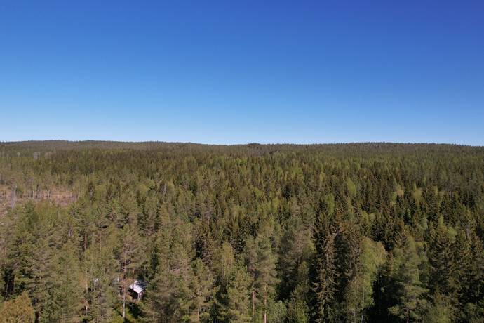 Arnäsvall, Örnsköldsviks kommun