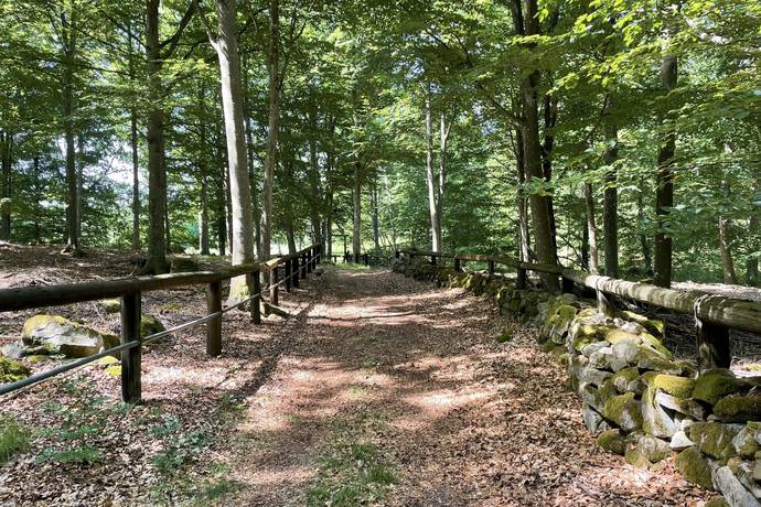 191 m² Gård utan jordbruk på Torarpsvägen 291 Torarp Karlshamns kommun - bild 35