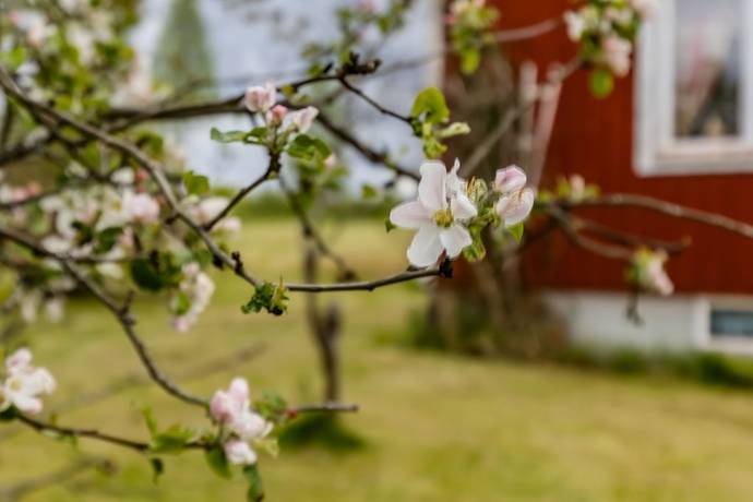 4 rum villa på Gravendal 14 Fredriksberg, Ludvika kommun - bild 4