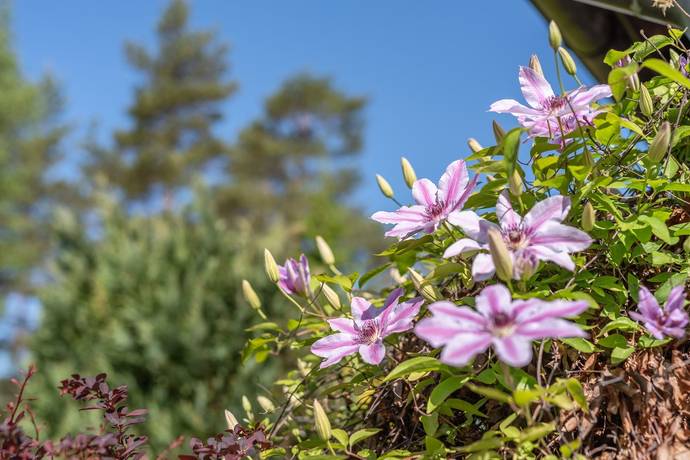 4 rum Villa på Fågelbärsvägen 2 Kaggebo Valdemarsviks kommun - bild 29