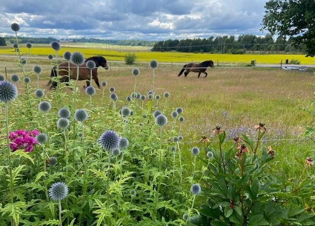 7 rum Villa på Järnbol Dammlyckan   Säffle kommun - bild 50