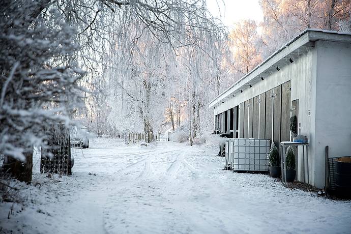7 rum Gård/skog på Sandby 1651 Sandby Mosse Lunds kommun - bild 44