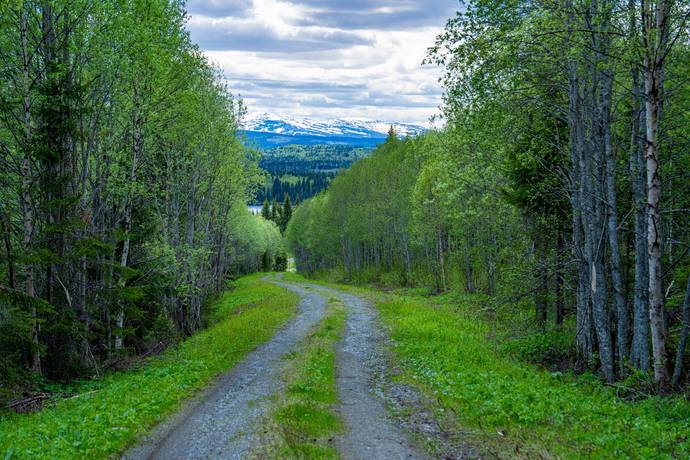 gård/skog på Jäppsta Offerdal, Krokoms kommun - bild 4