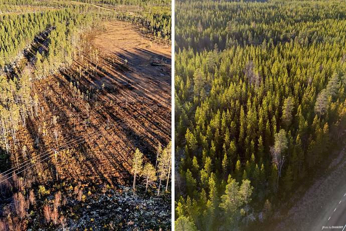 ÄLVDALEN SÄRNABYN 14:4 + ÖSTOMSJÖN 40:3, Särna, Älvdalens kommun