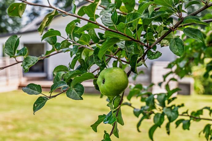 5 rum villa på Björkvägen 19 Vargön, Vänersborgs kommun - bild 2