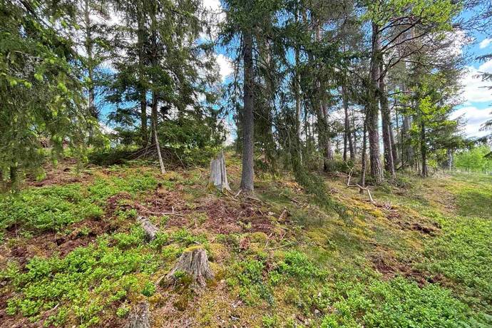 Gård utan jordbruk på Hällahester 1 Hällahester, Eksjö Eksjö kommun - bild 79