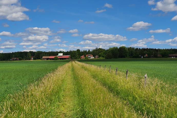 9 rum gård/skog på Väsby 151 Sala, Sala kommun - bild 2