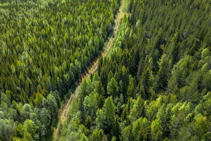 Gård med skogsbruk på Sollefteå Moflo 5:28 Moflo Sollefteå kommun - bild 6