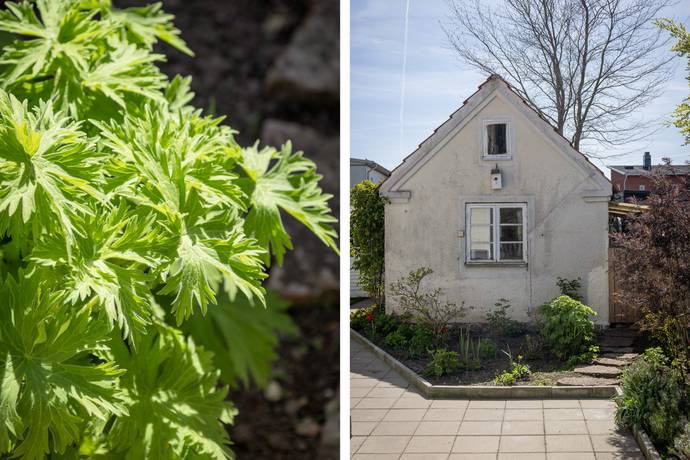 7 rum Villa på Fosie stationsväg 7 Fosie Malmö kommun - bild 67