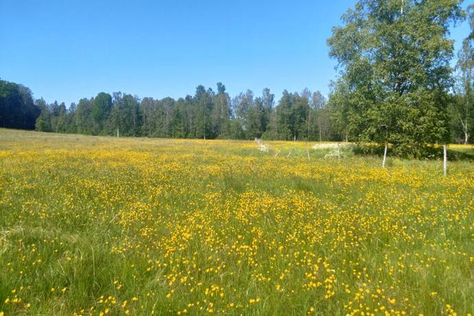 60 m² Gård med jordbruk på Bondbyn Holmen 104 Nora kommun - bild 10