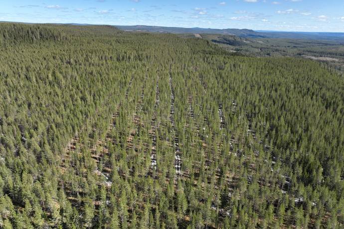 Gård/skog på Torrvål 13:5 Orsa kommun - bild 17