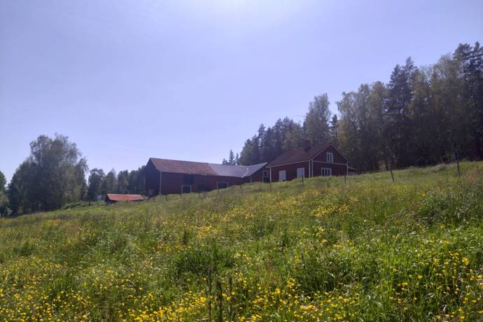gård med jordbruk på Bondbyn Holmen 104 Nora, Nora kommun - bild 1