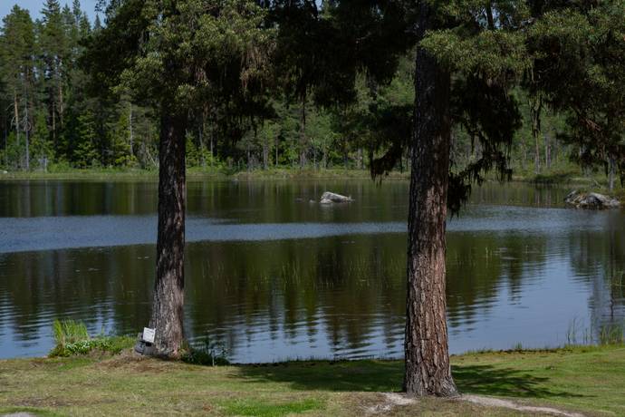 2 rum Gård utan jordbruk på Grössjön 101 Styrnäs Kramfors kommun - bild 47