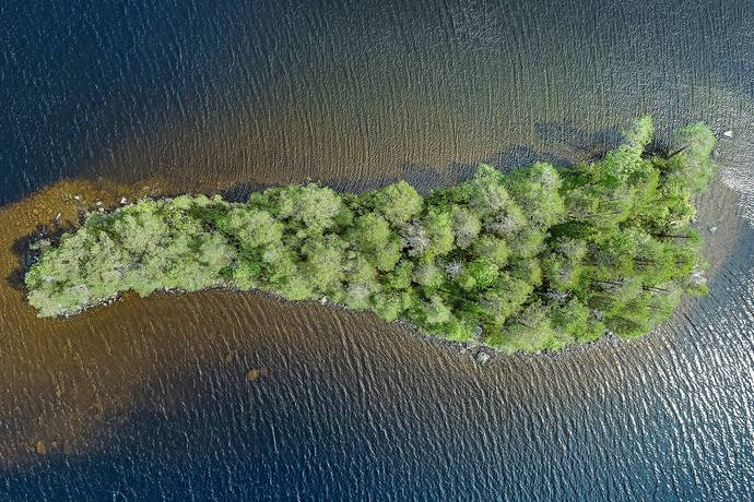 2 rum Gård/skog på Tjärliden 41 Arvidsträsk Älvsbyns kommun - bild 24