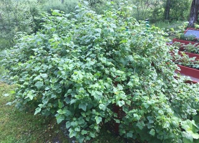 4 rum Fritidshus på Söderby 76 Öregrund Östhammars kommun - bild 46