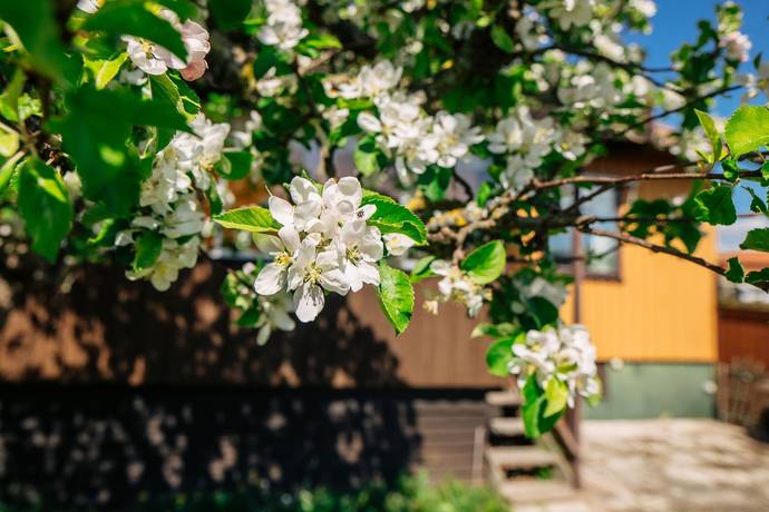 4 rum Villa på Frigells gata 8 Skövde Skövde kommun - bild 7