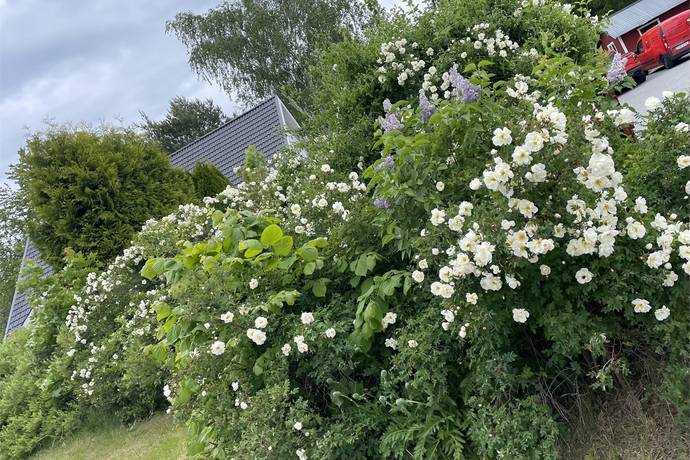 7 rum Villa på Ekvalla 1 Bålsta - Gamla Bålsta Håbo kommun - bild 61