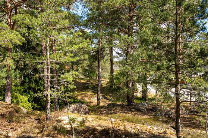Tomt på Anneviksvägen 28 Hällby Eskilstuna kommun - bild 24