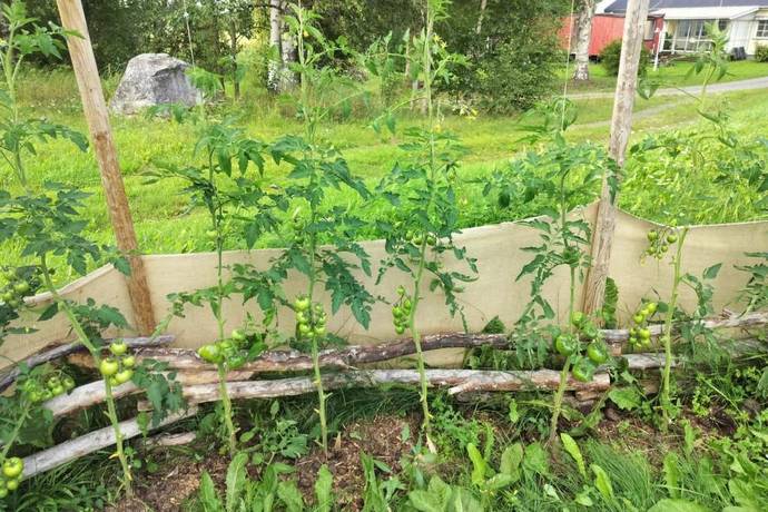 3 rum Villa på Markskogsvägen 129 Persön Luleå kommun - bild 66