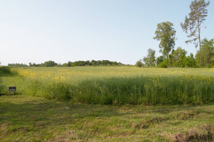 Östnässja, Vadstena kommun