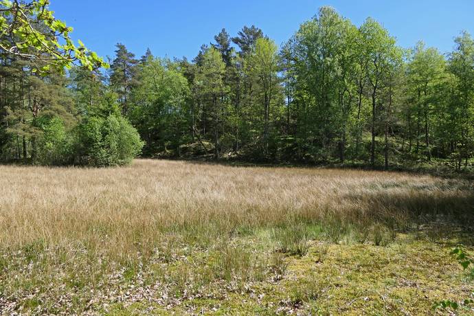 Gård med jordbruk på Ytterstad Lerums kommun - bild 9