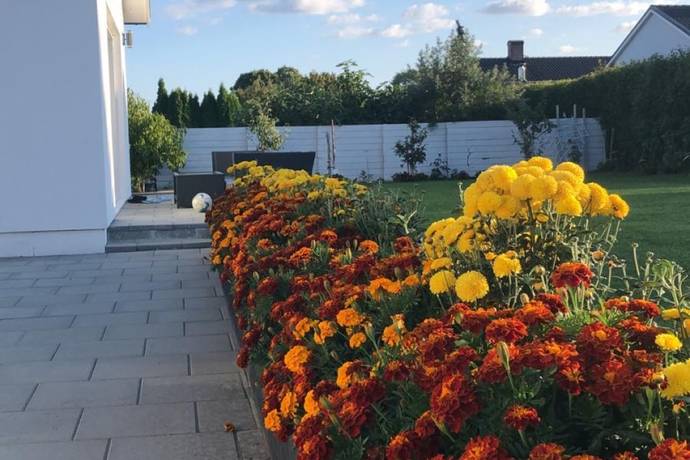 6 rum villa på Haugesundsgatan 13 Surbrunnen, Ystads kommun - bild 4