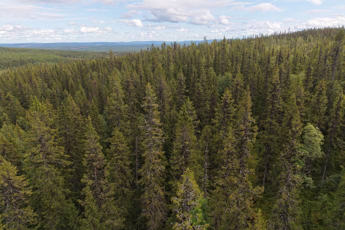 BERG BÖLE 1:4 SAMT 1:17 (del av), Rätan, Bergs kommun