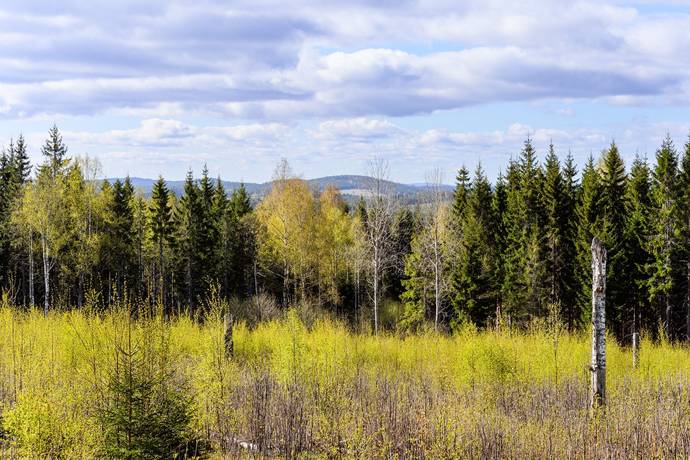 3 rum Vinterbonat fritidshus på Dalkarlsbo 29 Dalkarlsbo Säters kommun - bild 28