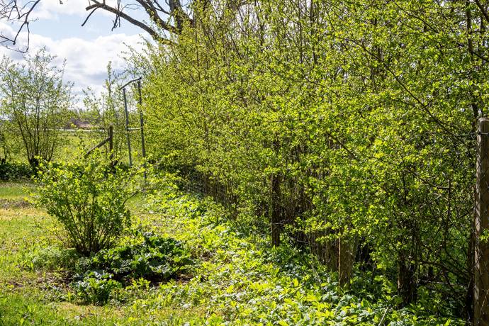 7 rum Villa på Grällsta 125 Grällsta Sala kommun - bild 52