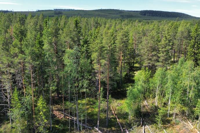 Tomt på Heavägen tomt 5:7 Särnaheden Älvdalens kommun - bild 9