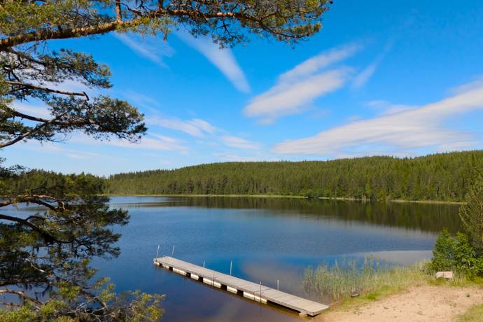 Gård/skog på Ytterberg 431 Ytterberg Härjedalens kommun - bild 3