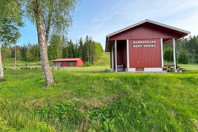 Gård med skogsbruk på Stenkällegården 1 Tiveden Karlsborgs kommun - bild 63