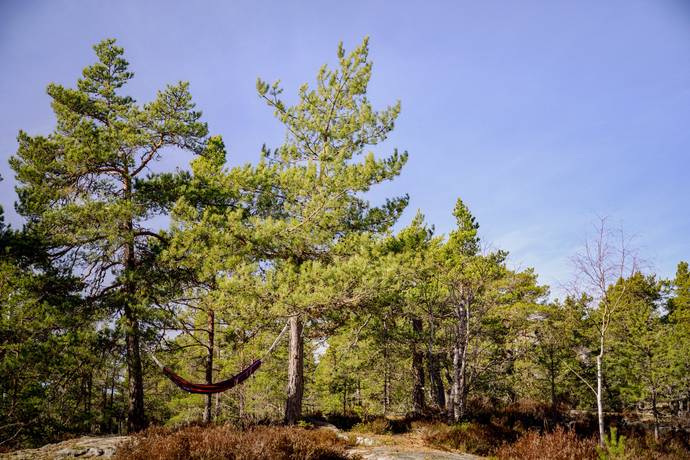 2 rum Fritidshus på Barnviksslingan 32 Stavsnäs Värmdö kommun - bild 26