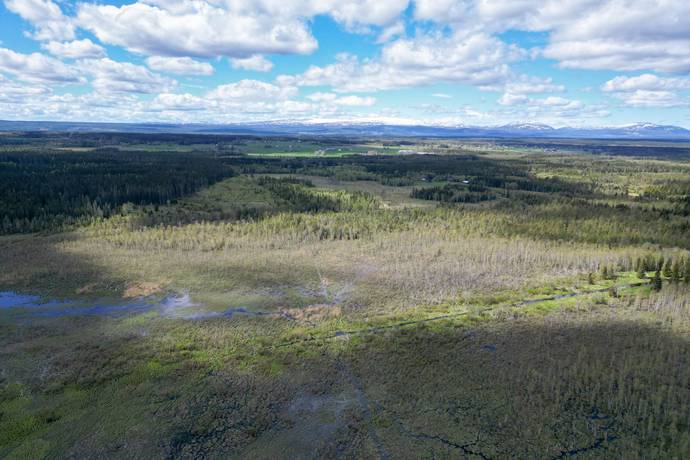 Gård/skog på Åre Rörön 1:2, 2:2 samt 2:3 Åre kommun - bild 32