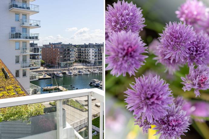 3 rum Lägenhet på Dockgatan 23 Dockan Malmö kommun - bild 12