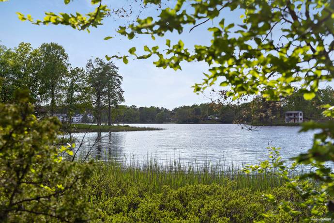 gård/skog på Unik skogsfastighet med vidsträckt utsikt över Hjälmsjön – en plats för drömmar och möjligheter! Örkelljunga, Örkelljunga kommun - bild 1